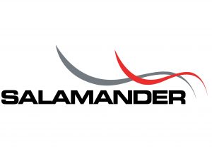 Salamander radio controlled fire door holder