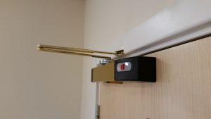 Decorative brass Agrippa door closer