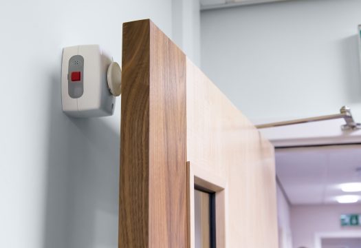 White Agrippa Door Holder