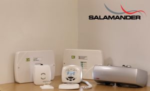 Salamander